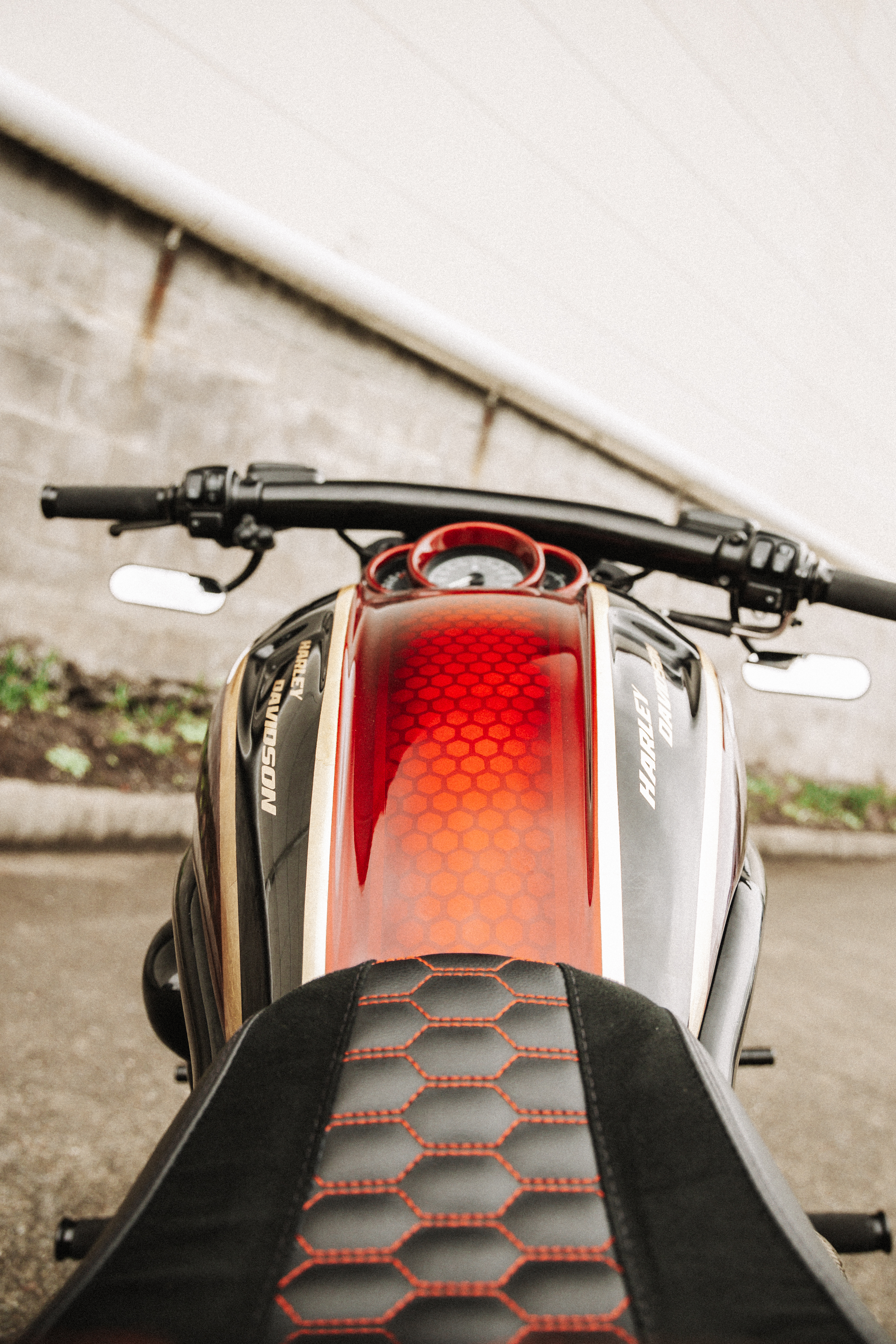 REISY - Dave's 2016 Night Rod Special » REISY - Dave's 2016 Night Rod Special »