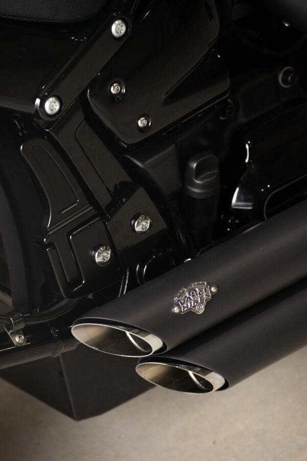 Stealth Softail Rear Foot Pegs 1985-2025