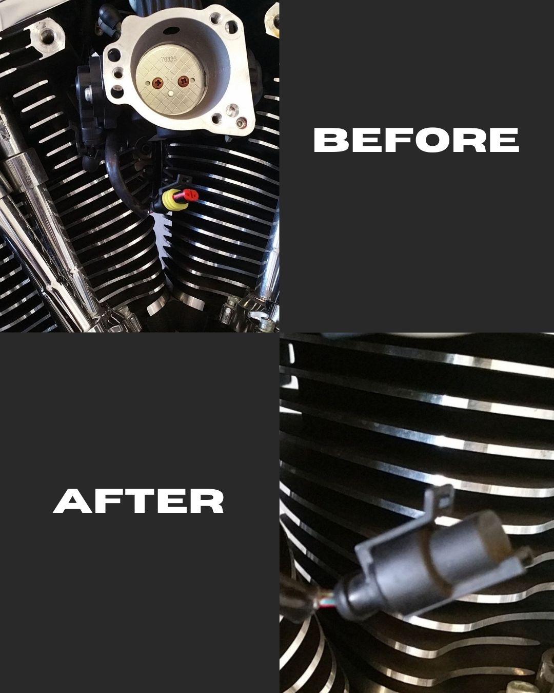 Harley intake sensor 2-pin dust cap » Harley intake sensor 2-pin dust cap - Image 4